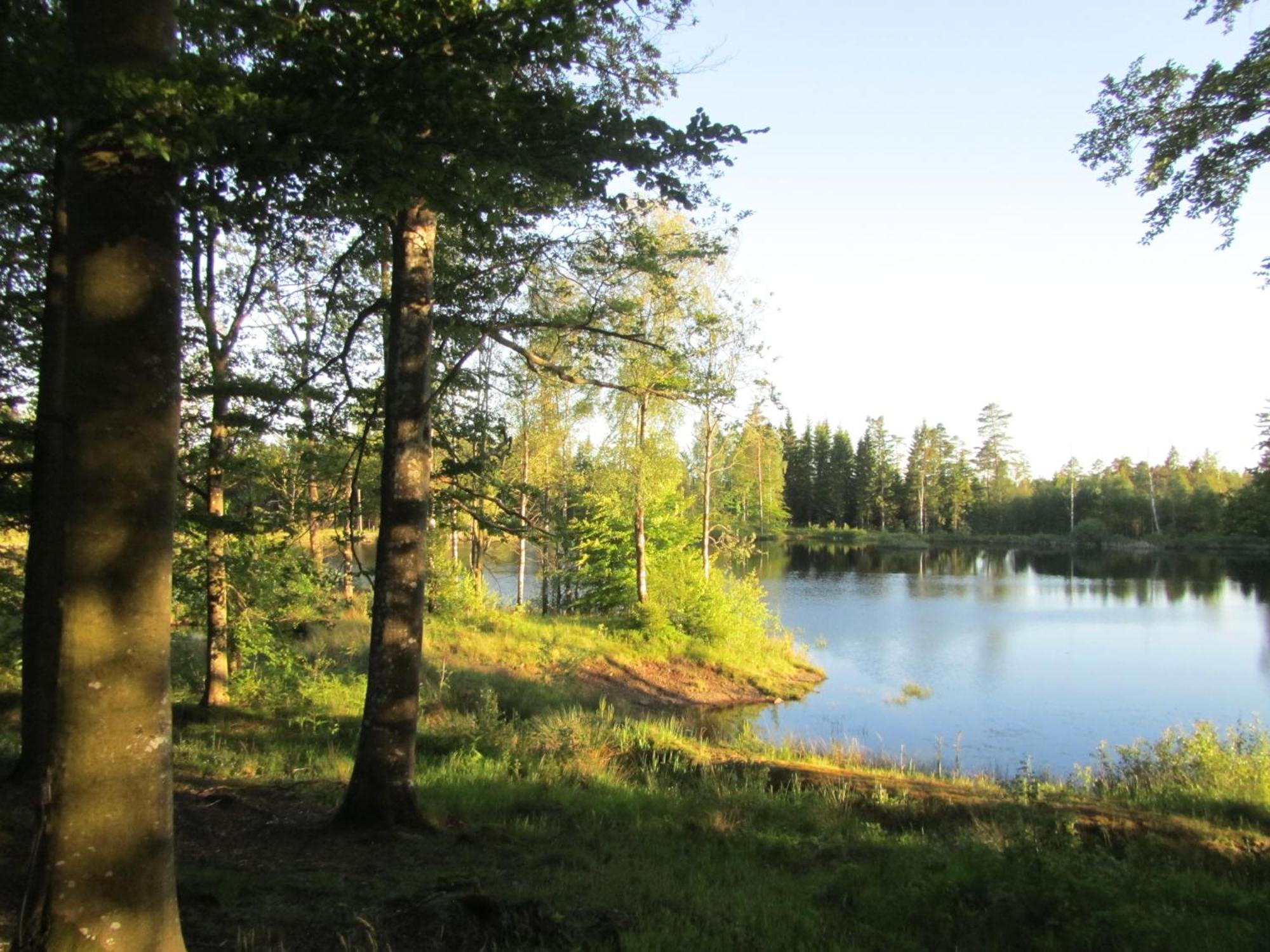 Villa Joe Getaway - Stugby I Ullared Zimmer foto
